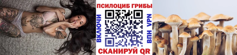 Псилоцибиновые грибы мухоморы  Гороховец 